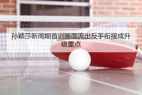 孙颖莎新周期首训画面流出反手衔接成升级重点